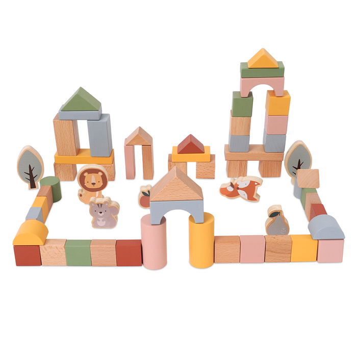סט קוביות עץ לבנייה דייניז 60 חלקים – Dainy’s Wooden Building Blocks Set 60 pcs