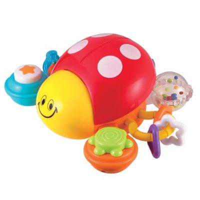 מעודד זחילה חיפושית משה רבנו winfun