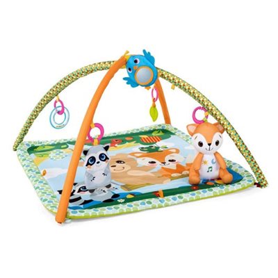 אוניברסיטה לתינוק צ'יקו