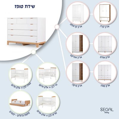 אינפוגרפיה2-לאתר12