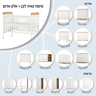 אינפוגרפיה-לאתר9-800x800