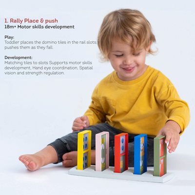 My-1st-domino-rally-1-800x800