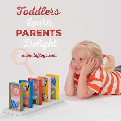 My-1st-domino-rally-9-800x800