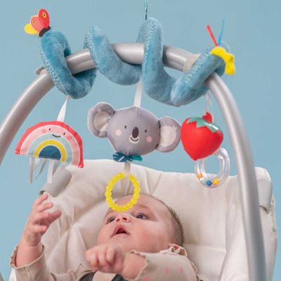 koala-spiral-3_optimized-800x800