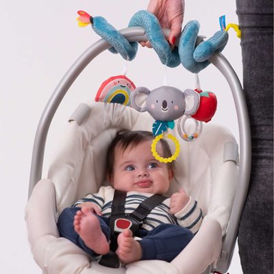 koala-spiral-4_optimized-800x800