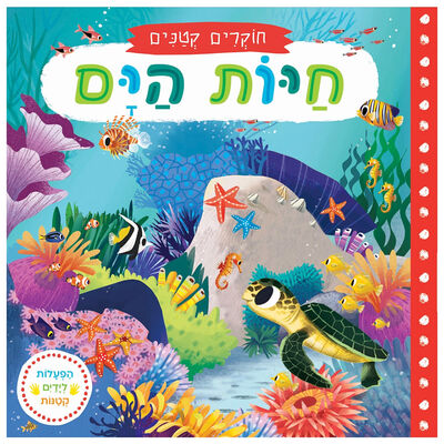 חוקרים קטנים חיות הים – דפי קרטון