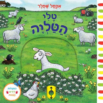 טלי הטליה – דפי קרטון