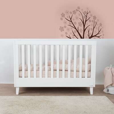 מיטה-וואלי-1