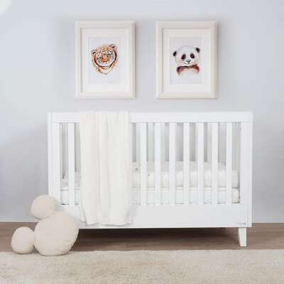 ראנצ-וואלי-1-scaled