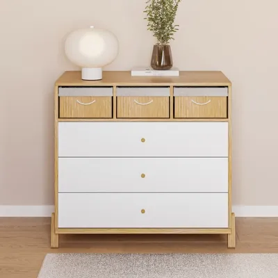 פריז מסילות נסתרות אוטומטיות שניר