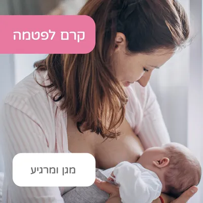 קרם לפטמה צ’יקו – Nipple Cream 30ml Chicco