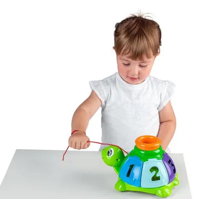 צב הפתעה צ’יקו – Chicco Turtle Sort and Surprise