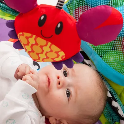 משטח פעילות עם בריכת כדורים - ™Animals & Smiles