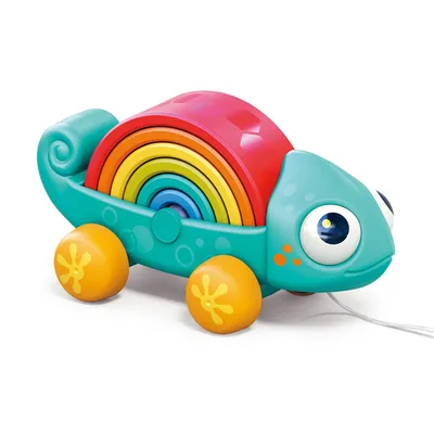 קשת זיקית הולה טויס – Hola Toys Rainbow Chameleon