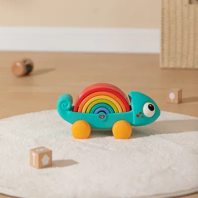 קשת זיקית הולה טויס – Hola Toys Rainbow Chameleon