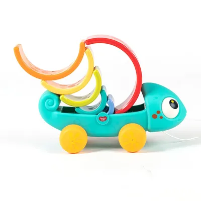 קשת זיקית הולה טויס – Hola Toys Rainbow Chameleon