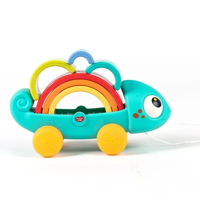 קשת זיקית הולה טויס – Hola Toys Rainbow Chameleon