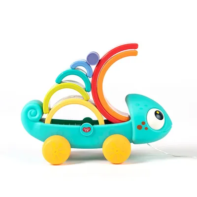 קשת זיקית הולה טויס – Hola Toys Rainbow Chameleon