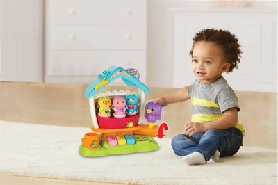 בית ציפורים vtech