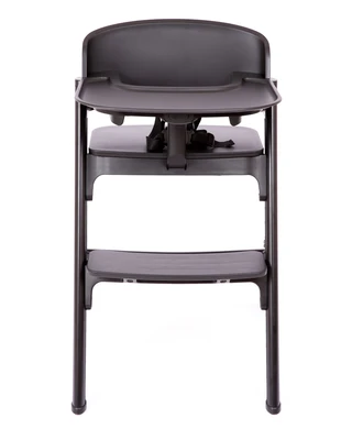 כיסא אוכל רב שלבי מגיל חצי שנה ועד 110 קג כולל מגש ורצועות Eco