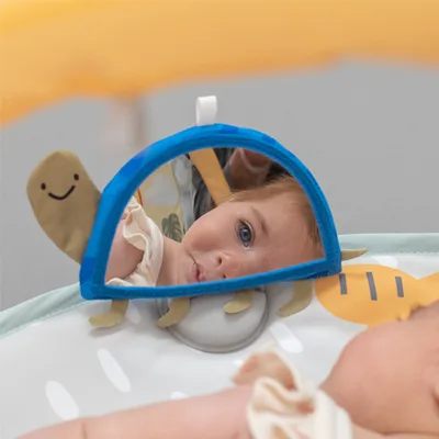 משטח פעילות סוואנה 360