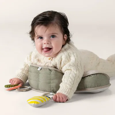 כרית התפתחותית פנדה