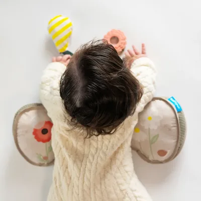 כרית התפתחותית פנדה